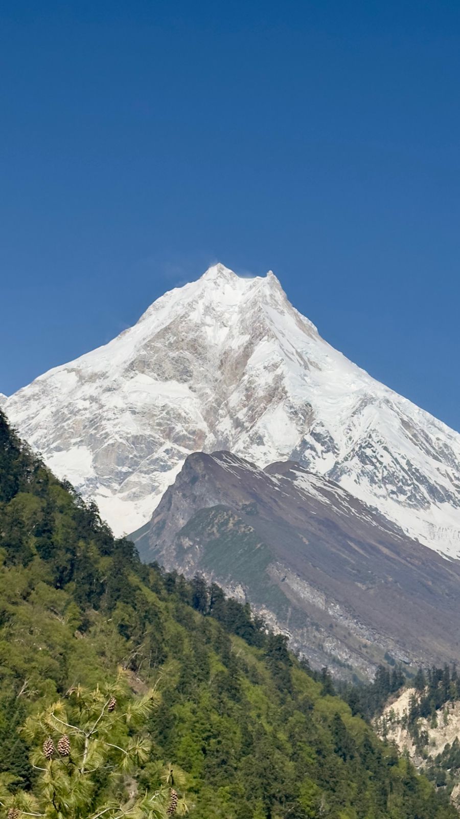 Mt. Manaslu under a clear blue sky above forested ridges
